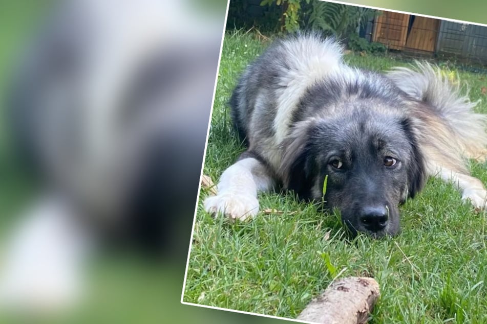 Pure Lebenslust trotz schlimmem Autounfall: Cathy träumt sehnlichst von neuem Zuhause