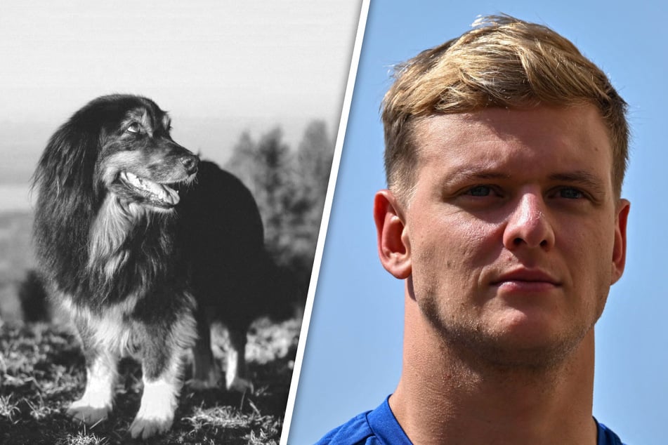 Mick Schumacher (26) trauert via Instagram um seine Hündin Angie.