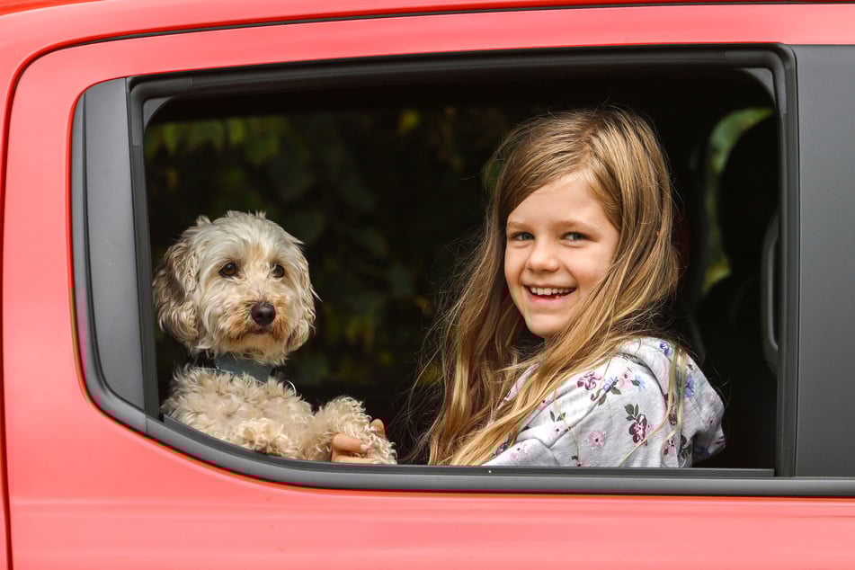 Alle Tiere wurden in gute Hände abgegeben, nur Familienhund Ira darf mit auf die große Reise.
