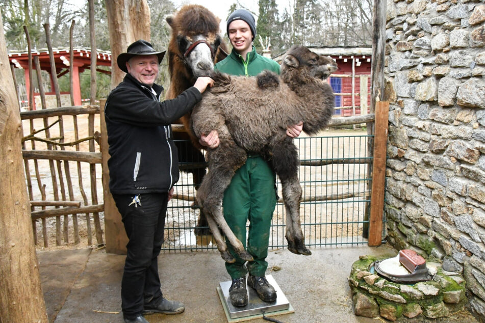 Mensch und Tier freuen sich über den flauschigen Nachwuchs ...