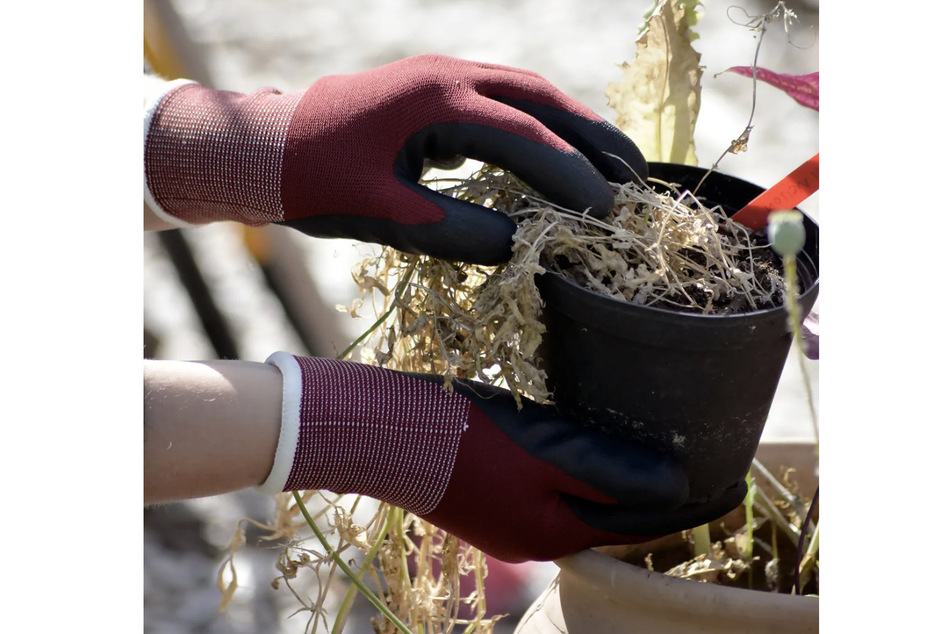 Dank wärmendem Innenfutter sind die Gartenhandschuhe Cosy ideal für die kalten Jahreszeiten.