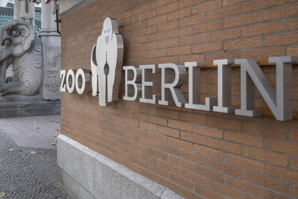 Berlin: Newcastle-Krankheit im Zoo Berlin: Vogelbereiche geschlossen