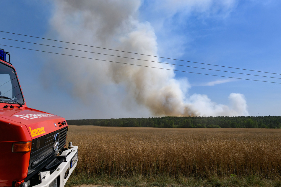 In ganz Europa kommt es momentan vermehrt zu Waldbränden.
