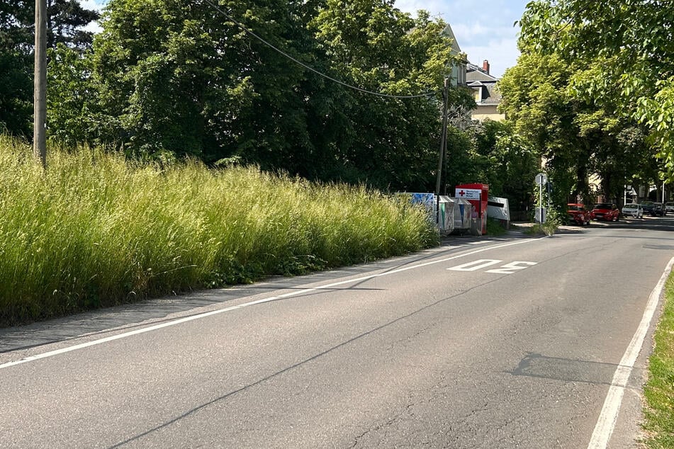 Wie die Fahrbahnmarkierung verrät, sind an dieser Stelle 30 Stundenkilometer erlaubt.