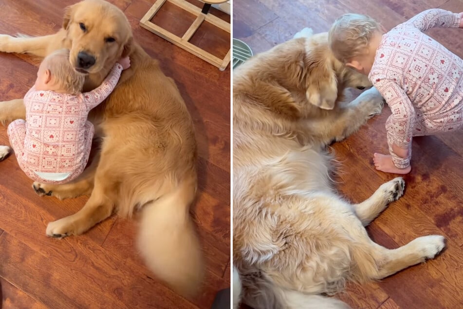 Hier bekommt jeder Golden Retriever seine Umarmung - und das Insta-Publikum warme Herzen.
