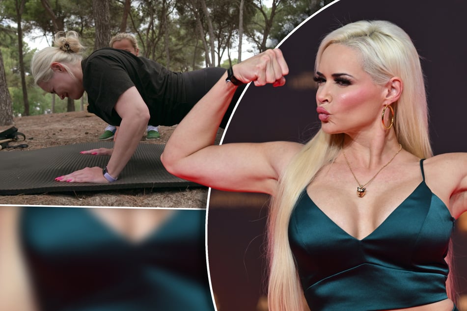Daniela Katzenberger: Katze packt über Anfeindungen aus: "Du nervst mit deinem Fitnessscheiß!"