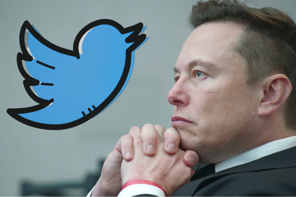 Elon Musk: Elon Musk apologizes for publicly mocking disabled Twitter employee