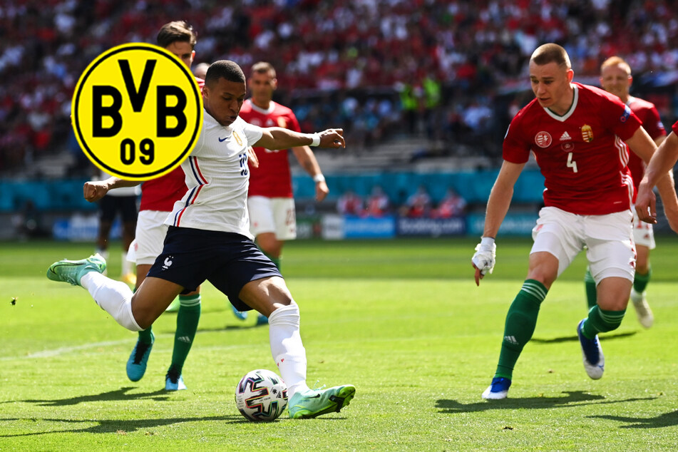 BVB sucht Verstärkung für die ausgedünnte Verteidigung! Kommt ungarische EM-Stammkraft?
