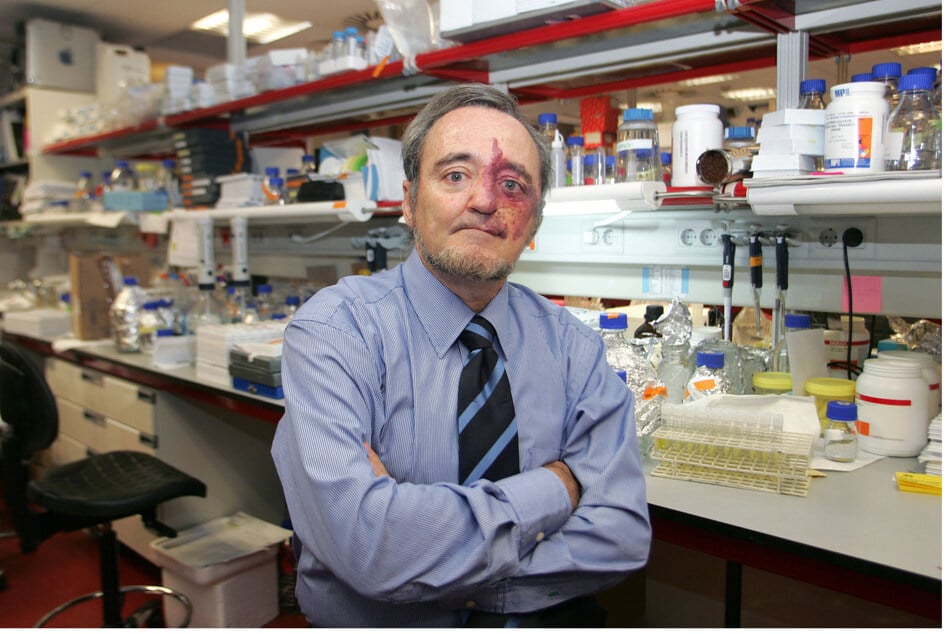 Dr. Mariano Barbacid und sein Team haben äußerst aggressive Krebstumoren bei Mäusen vollständig entfernt. (Archivfoto)