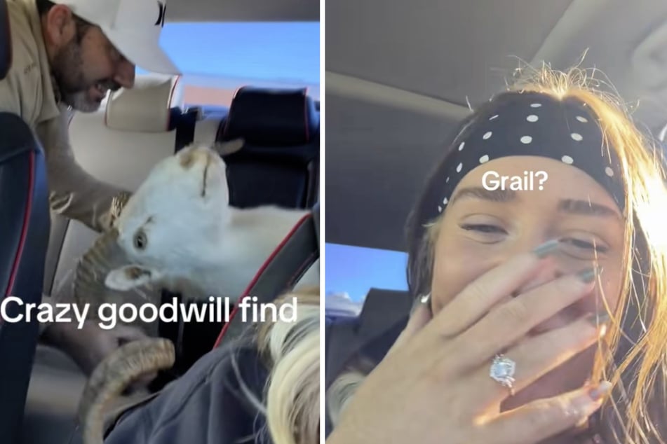 Gracie Wiggins kann nur ungläubig zuschauen, wie ihr Schwiegervater das ausgestopfte Tier auf die Rückbank lädt.