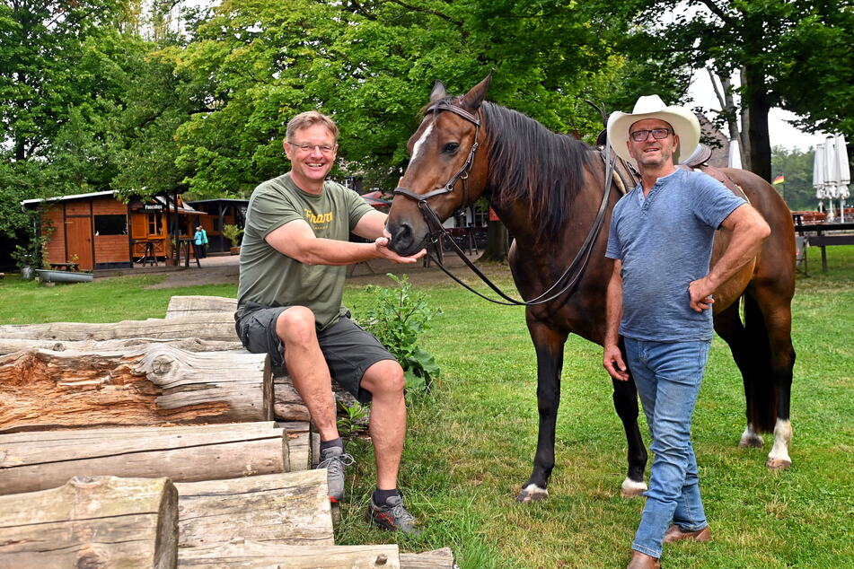 Wallach Apollo (17) lässt sich von Hofewiese-Wirt Holger Zastrow (55, l.) mit Äpfeln und von Reiter Romeo Kowalke (65) mit Streicheleinheiten verwöhnen.