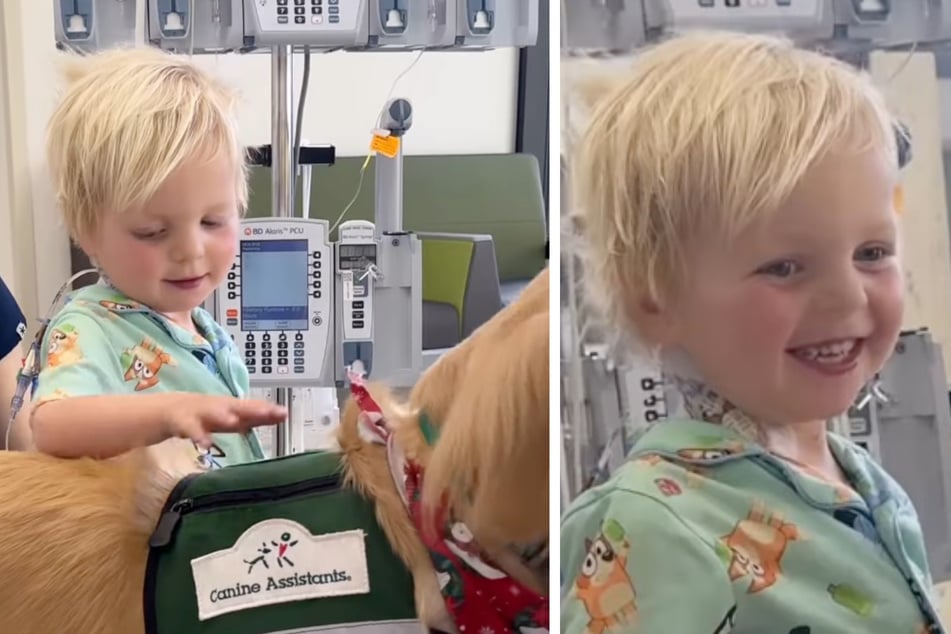 Es dauert nicht lange, da strahlt Rockford endlich wieder über beide Ohren.