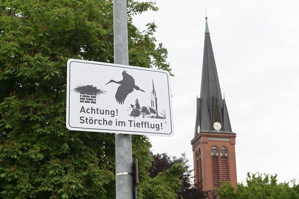 Jetzt weiß es jeder: Rings um den Grünaer Kirchturm fliegen die Störche tief.