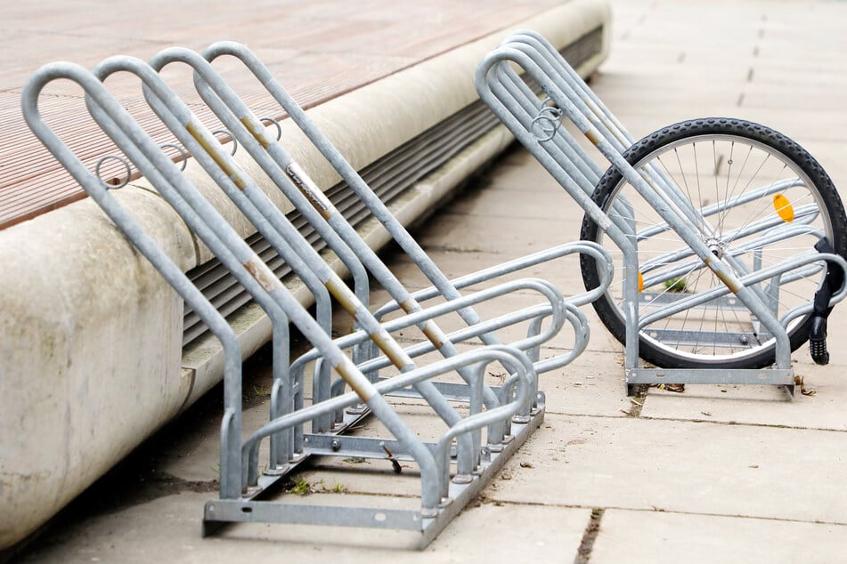 Der Vierbeiner zog einen Fahrradständer hinter sich her. (Symbolbild)