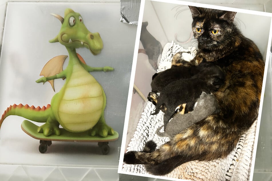 En una caja con imágenes tiernas: una gata con sus bebés abandonada de forma sencilla