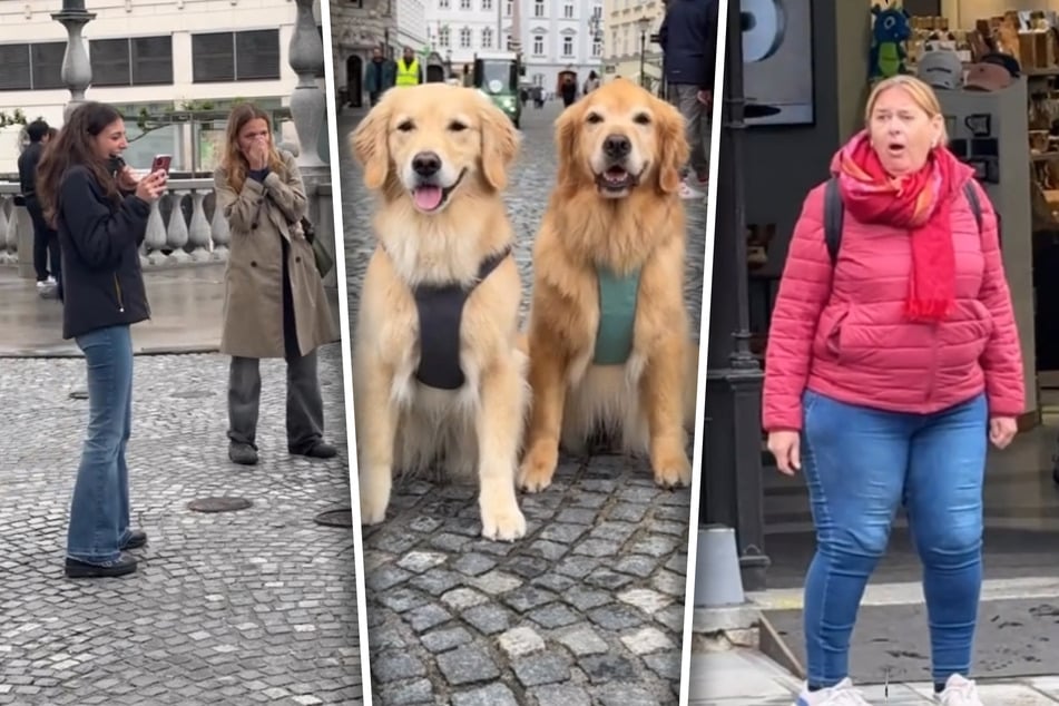 Die Passanten trauen ihren Augen nicht. Was ist so besonders an Emma (l.) und Ellie?