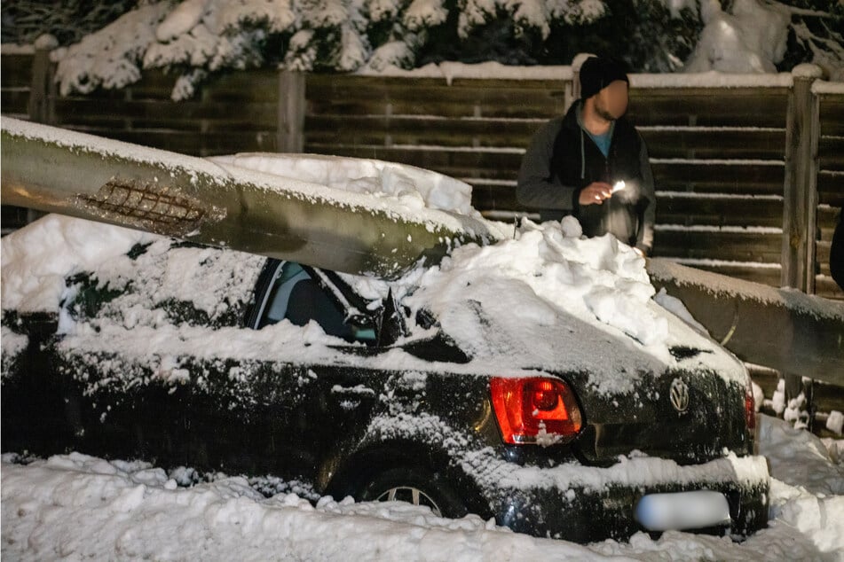 Bäume halten die Schneelasten nicht mehr aus.
