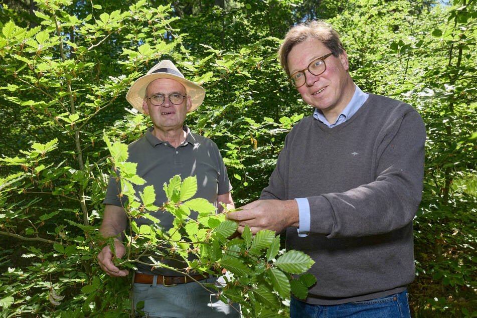 Der LSH-Vorsitzende Thomas Westphalen (68, l.) und Sachsens Umweltminister Georg-Ludwig von Breitenbuch (55, CDU) haben sich vor ein paar Wochen gemeinsam ein Bild von der Lage im Naturschutzgebiet gemacht.