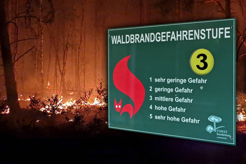 Winter gerade erst vorbei und schon erhöhte Waldbrandgefahr in Brandenburg