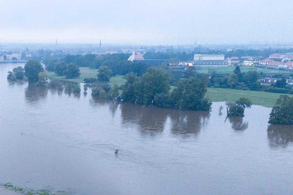 Die Elbe am Dienstag. Sie ist in Höhe des Trainingszentrums (o.r.) über die Ufer getreten. Der kleine Hügel schützt das Gelände vor dem Hochwasser.