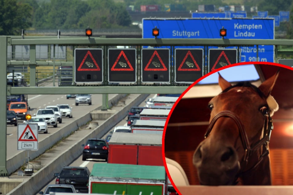 Transporter mit Pferd kippt auf der A7 um, zwei Verletzte