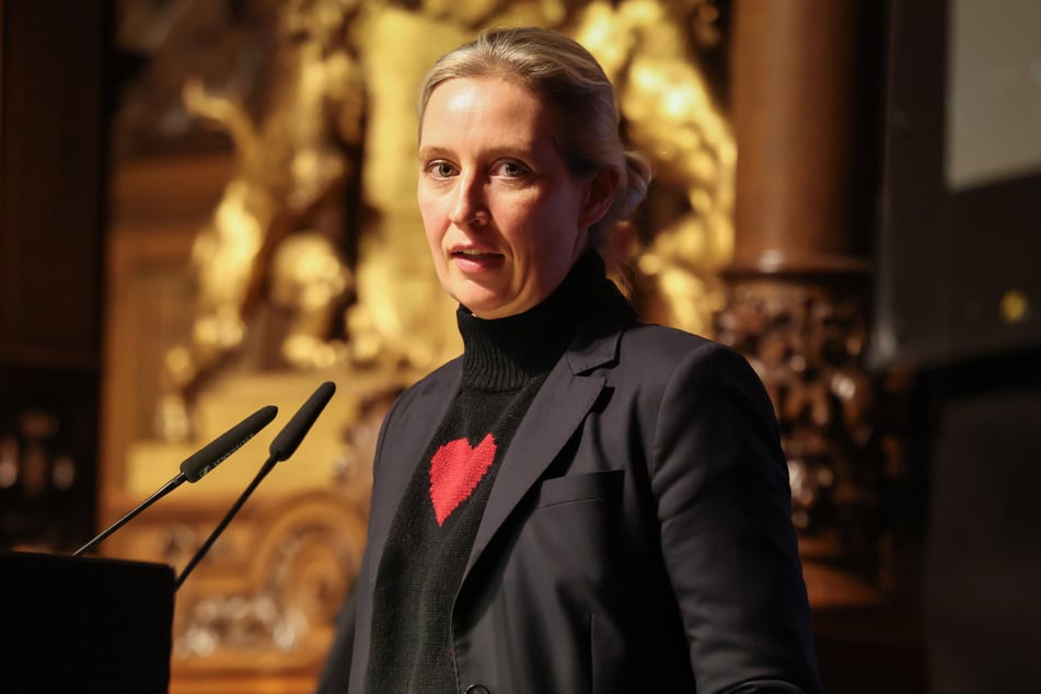 AfD-Chefin Alice Weidel (45) musste sich nach ihrem Vortrag im Hamburger Rathaus am gestrigen Donnerstag kurzfristig ein neues Hotel suchen.