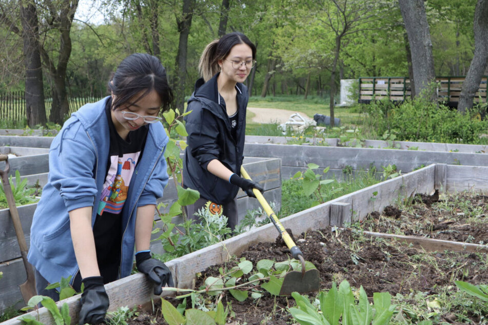 Queens Country Farm Museum visitors can volunteer to assist in sifting compost, spring clean-up, garden bed prep, and mulching on April 22!