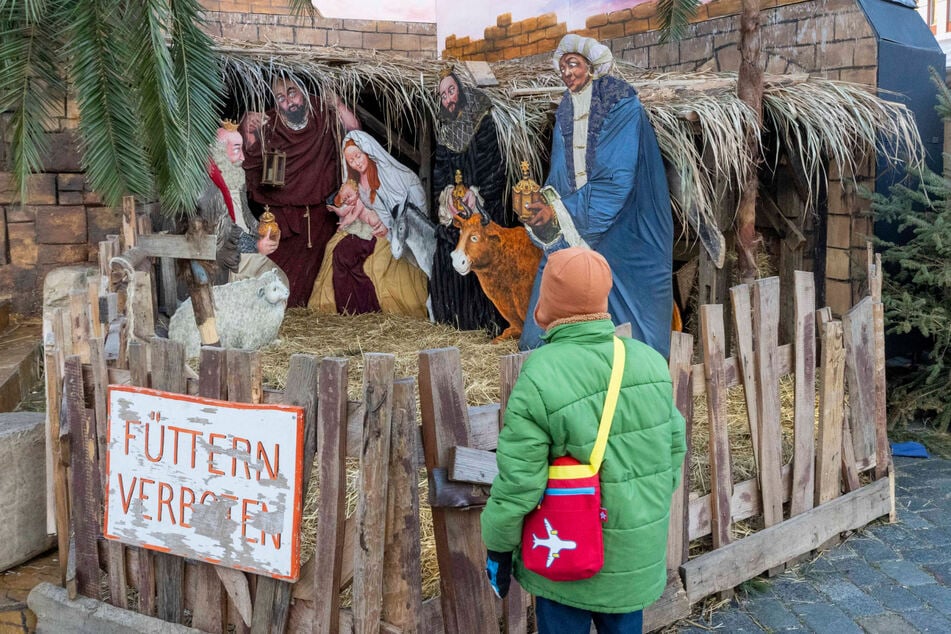Keine echten Tiere mehr: Auf dem Neumarkt sind die Vierbeiner für das Krippenspiel ab sofort gemalt.