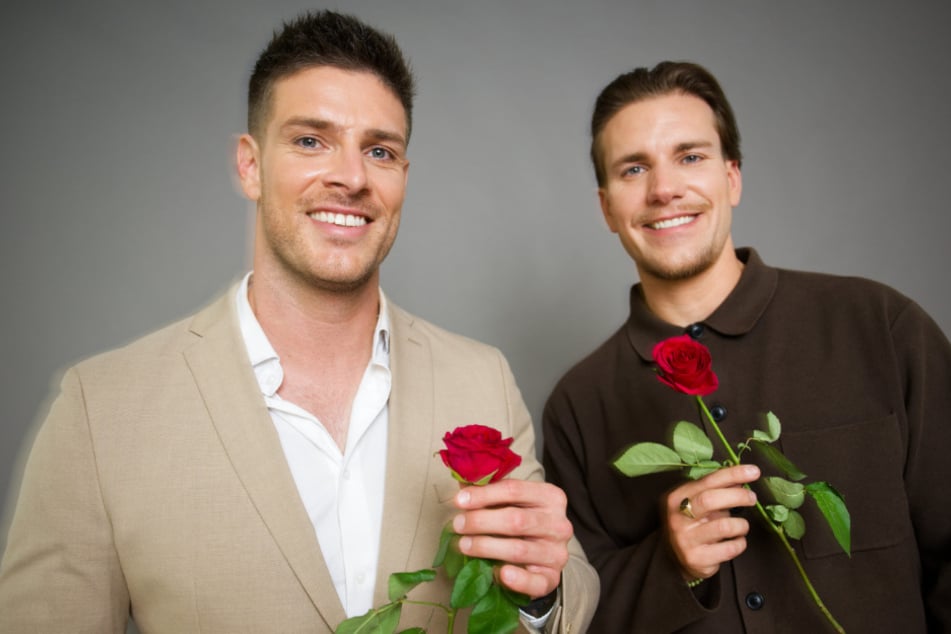 Bachelor: Während TV-Suche nach großer Liebe: Fremdgeh-Beichten der Bachelors