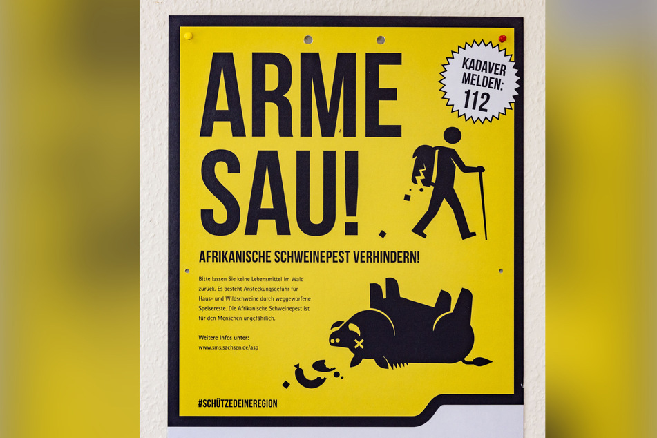 Das Plakat weist auf Schutzmaßnahmen gegen afrikanische Schweinepest hin.