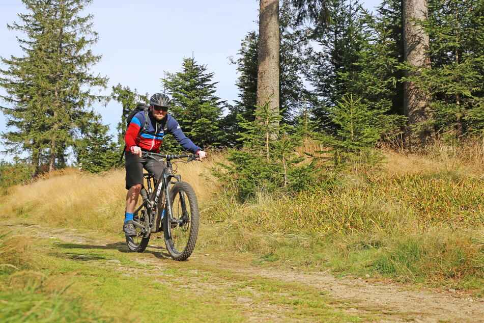 Sachsen setzt auf Radtourismus. Auf Sachsenforst-Flächen stehen rund 13.000 Kilometer Wege zur Verfügung. Je 3600 Kilometer davon sind ausgewiesene Wanderwege beziehungsweise zum Radfahren geeignet.