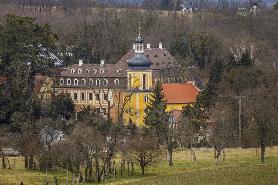 Das Landschloss Zuschendorf bei Pirna beherbergt die Kamelienschau.