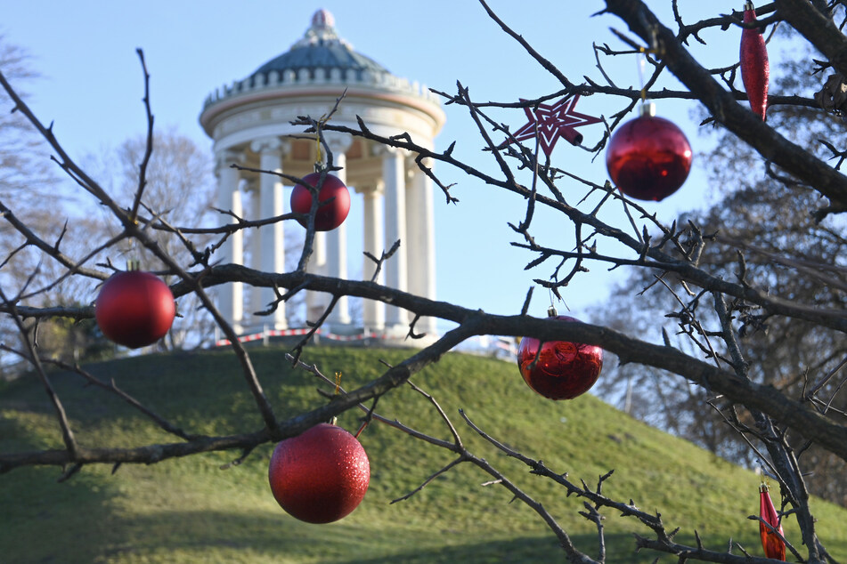 Christbaumkugeln hängen an einem Baum im Englischen Garten. Schnee wird es hier zu Weihnachten nicht geben.