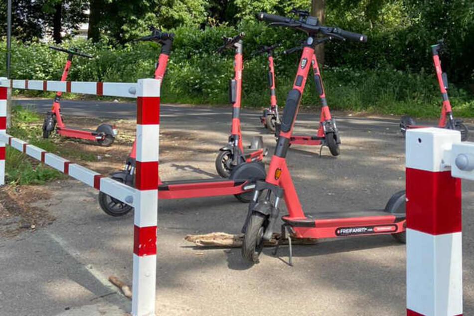 In Köln ist die geplante Bergung von E-Scootern aus dem Rhein vorerst abgesagt worden.