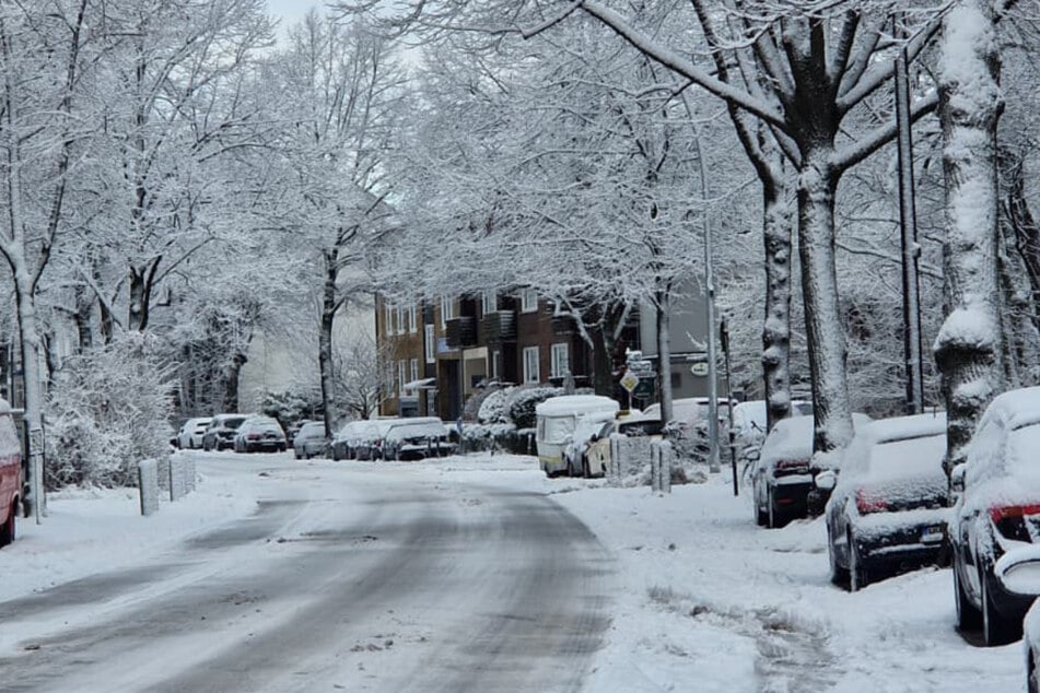 Hamburg: Schneechaos im Norden: Warnung vor "Gefahr für Leib und Leben", Schulbetrieb findet weiter statt