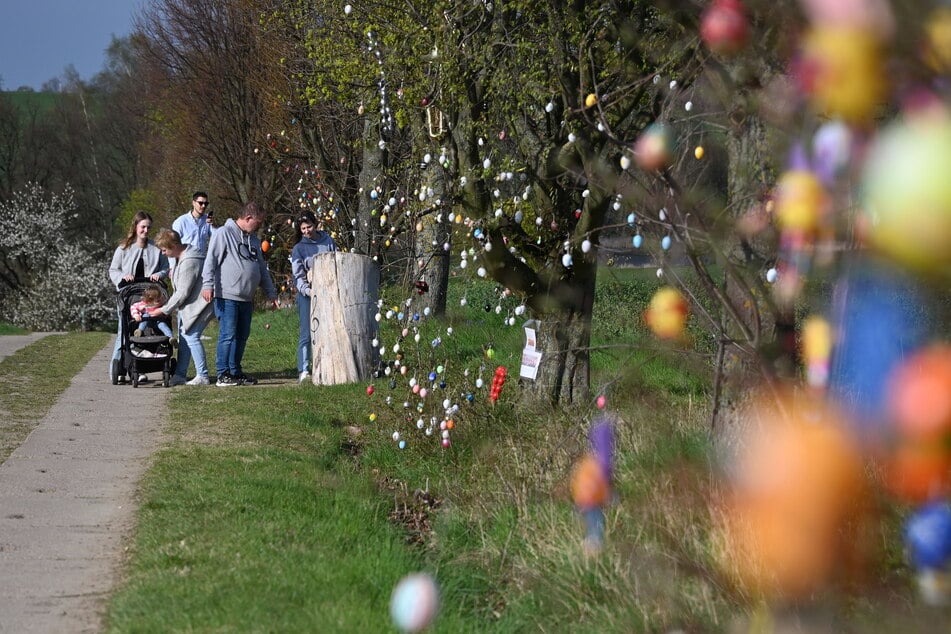Besonders für Familien ist der Ausflug ideal. Auch mit dem Kinderwagen ist der Wanderweg kein Problem.