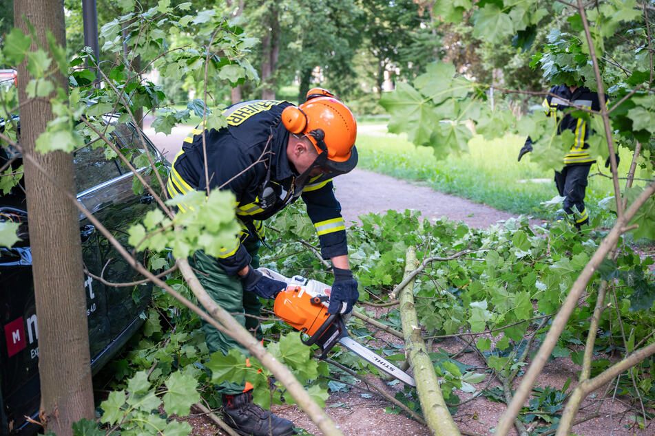 Die Feuerwehr zersägte den entwurzelten Baum, entfernte diesen anschließend vom Gehweg.