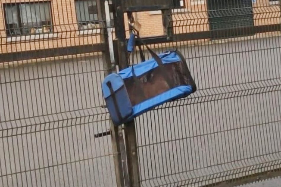 Diese Tasche hing am Tor des Mid-Antrim Animal Sanctuary.