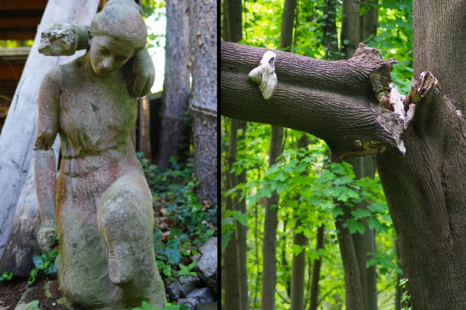 Einst prächtige Skulpturen mussten abgebaut werden wie hier auf dem Friedhof Hosterwitz (l.). Auch Trockenheit und Stürme setzen den Grabstätten zu - für die Beseitigung der Schäden wird viel Geld benötigt.