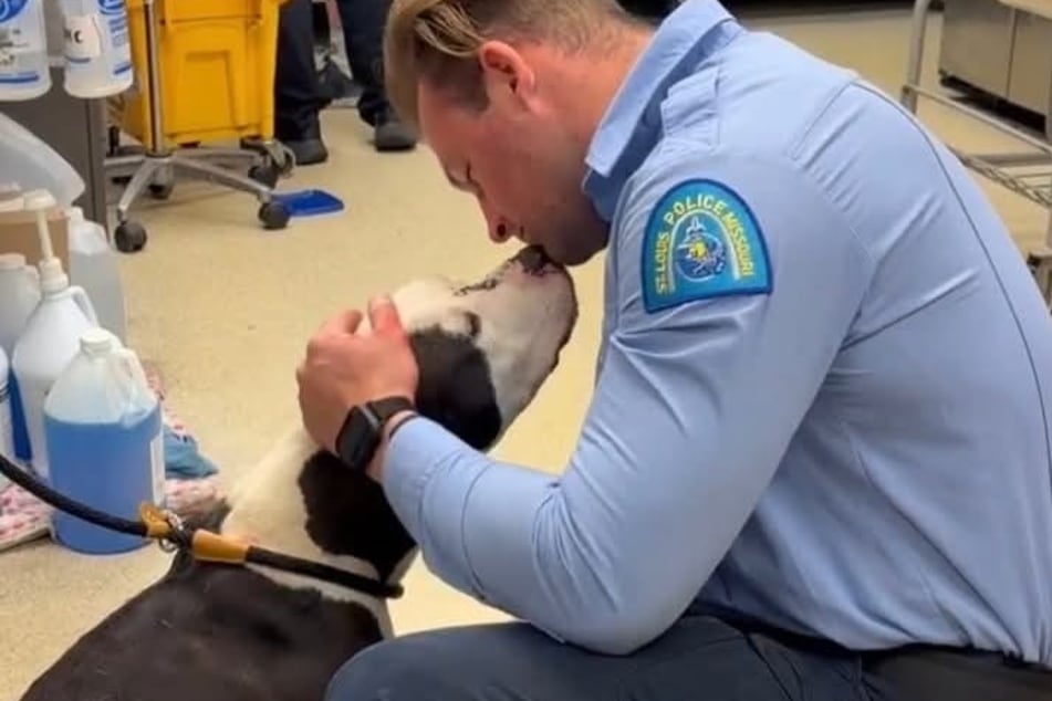 Díky zásahu policistů Wallace přežil brutální útok.