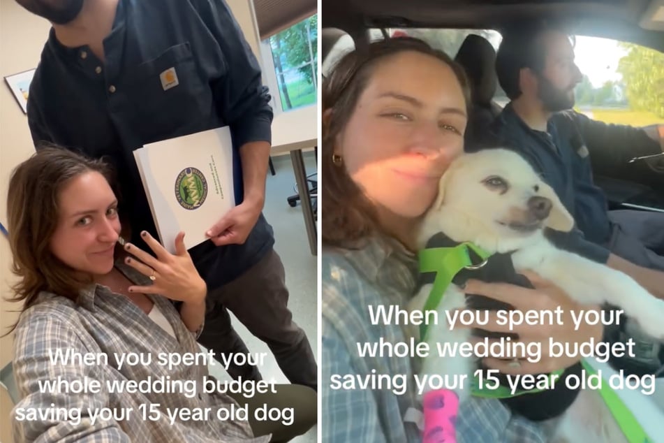 Heather und Andrew opfern ihr gesamtes Hochzeitsbudget, um ihren kranken Hund zu retten - und bereuen es kein bisschen.