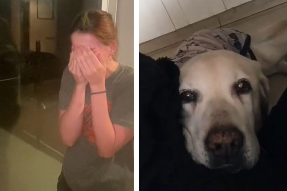 Frau bittet nach Tod ihres Hundes um ein Zeichen: Was dann passiert, lässt sie bitter weinen