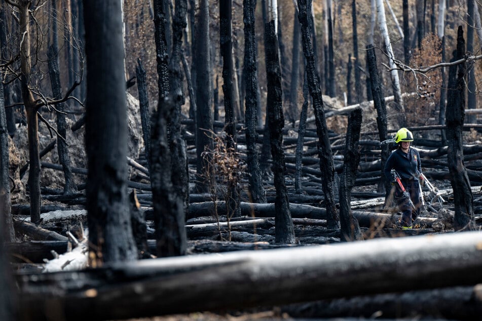 Erhöhte Waldbrandgefahr in Hessen: Diese Region ist besonders bedroht!