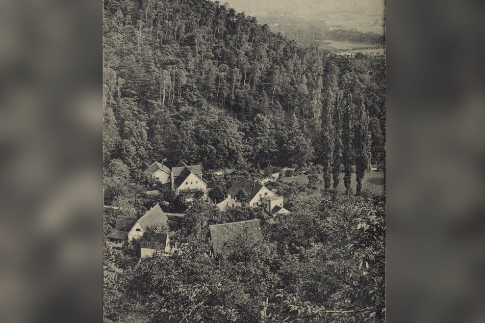 Die historische Postkarte zeigt den Keppgrund anno 1919.