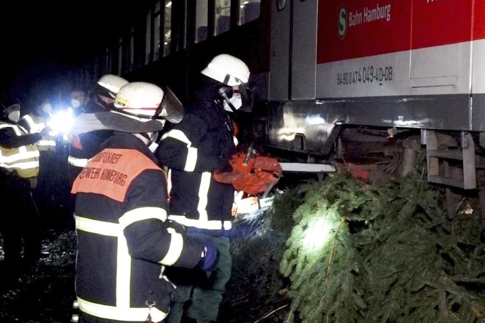Feuerwehrleute versuchen den Baum unter der S-Bahn auf Höhe der Straße Hasenhöhe herauszubekommen.