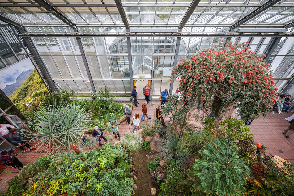 Natur und Musik: Im Botanischen Garten der Universität Leipzig findet wieder ein Sommerkonzert statt. (Archivbild)