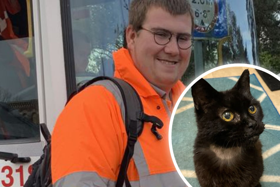 Er hielt ihn für eine Pelzmütze: Müllmann rettete leblose Katze aus Abfalltonne