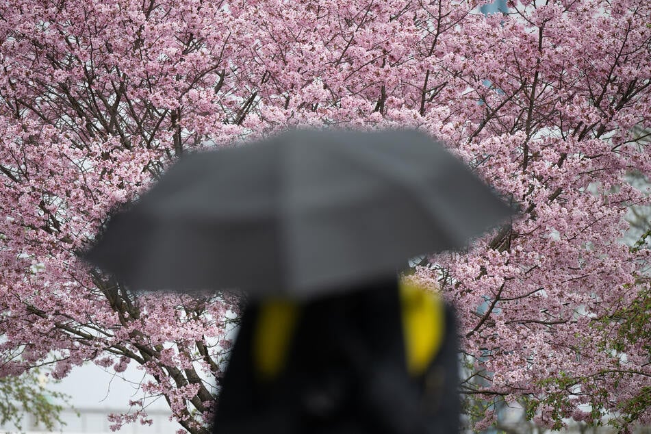 Feuchter Frühling: Regengüsse und Gewitter haben NRW fest im Griff