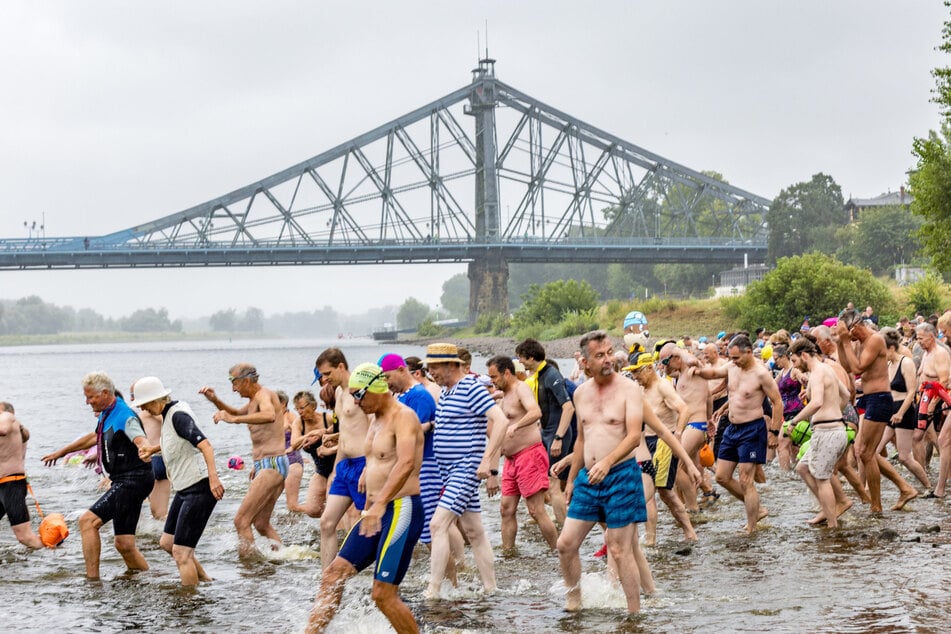 Nach 3,5 Kilometern im Wasser kommen die Elbeschwimmer im Fährgarten Johannstadt an. Los geht es nahe dem Blauen Wunder.