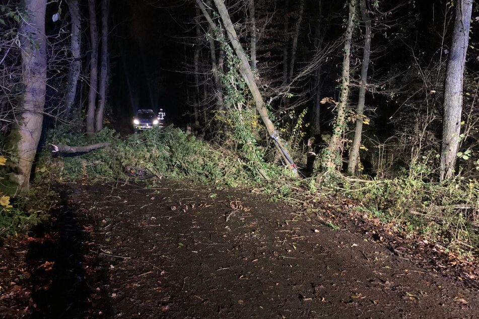 In Haan ist ein Junge (12) unter einem Baum eingeklemmt und lebensgefährlich verletzt worden.